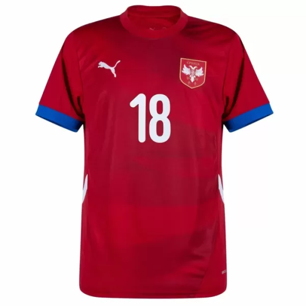 Maglia Serbia Vlahovic 18 Uomo Primo Euro 2024