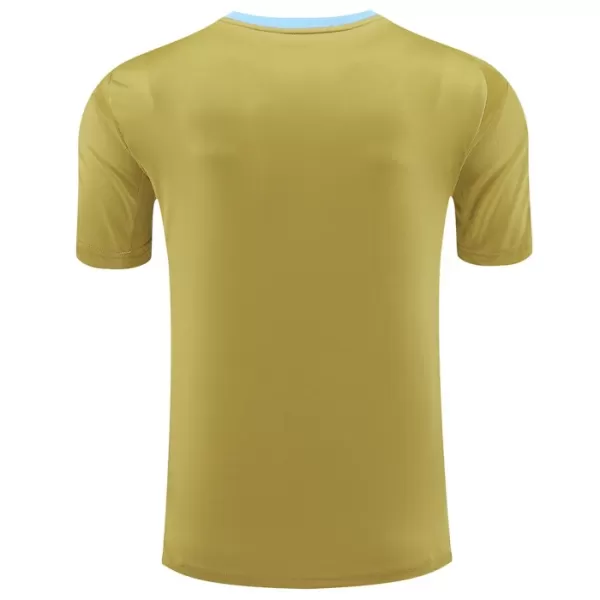 Maglia Argentina Pre-Match Uomo 2024 Gialla