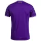 Maglia RSC Anderlecht Uomo Primo 2024/25