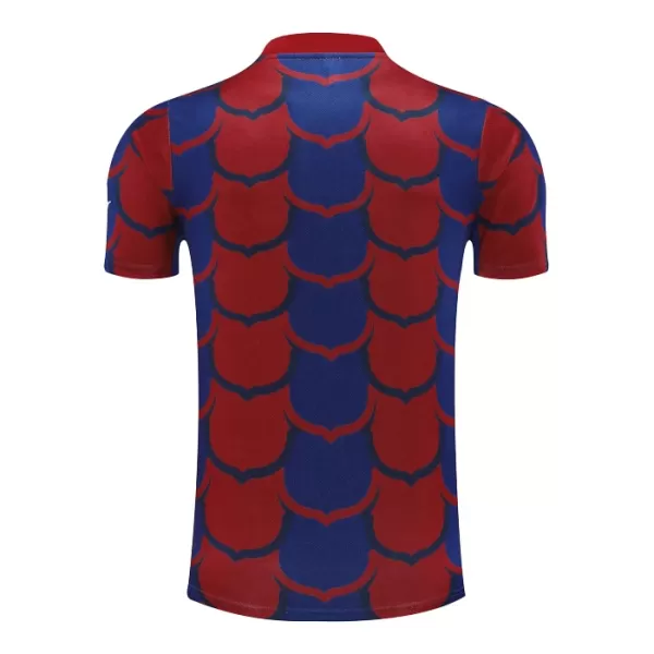 Maglia Barcellona Pre-Match Uomo 2024/25