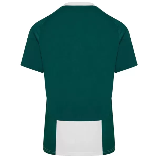 Maglia Panathinaikos FC Uomo Primo 2024/25