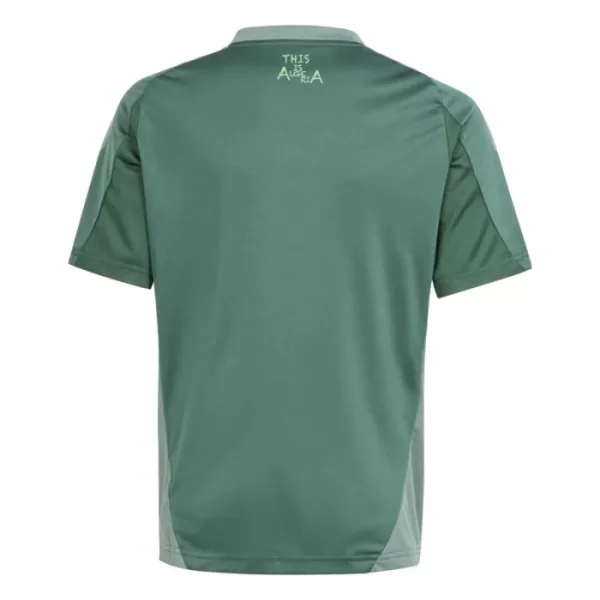 Maglia Nigeria Uomo 2024 Verde - Speciale